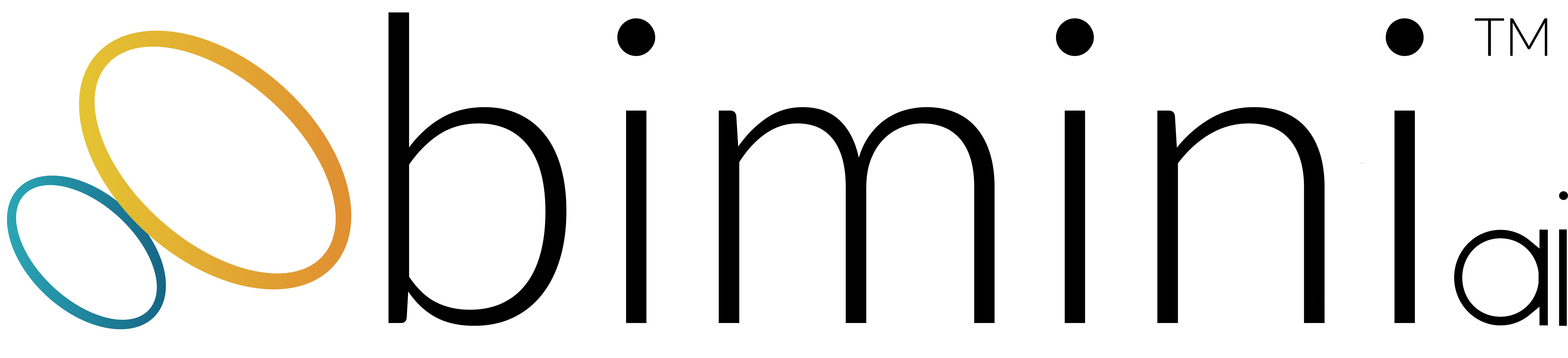 Bimini AI Logo